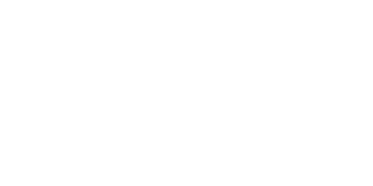 Synseer